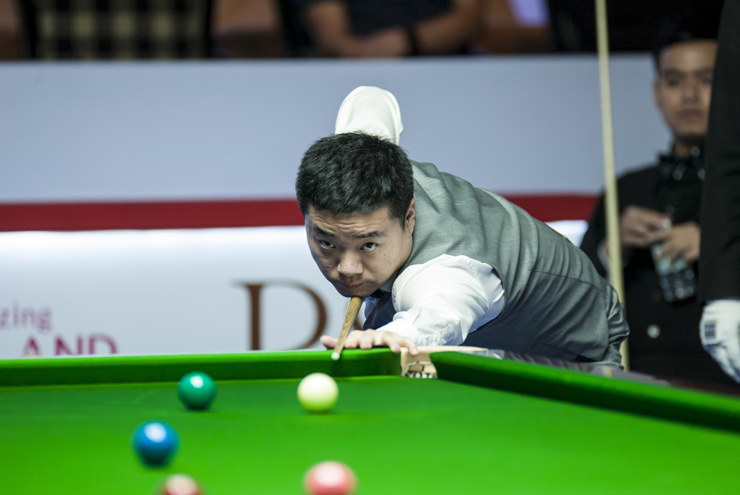 庞峥麟在国 庞峥麟在国